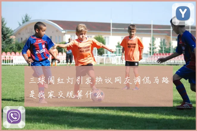 三球闯红灯引发热议网友调侃马路是我家交规算什么