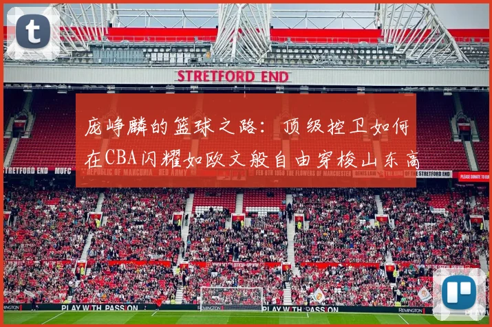 庞峥麟的篮球之路：顶级控卫如何在CBA闪耀如欧文般自由穿梭山东高速