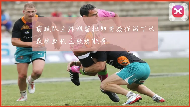 前狼队主帅佩雷拉即将接任诺丁汉森林新任主教练职务
