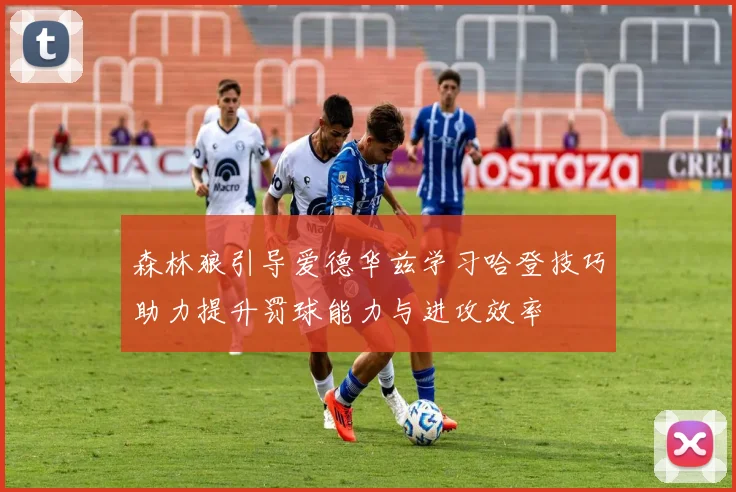 森林狼引导爱德华兹学习哈登技巧助力提升罚球能力与进攻效率