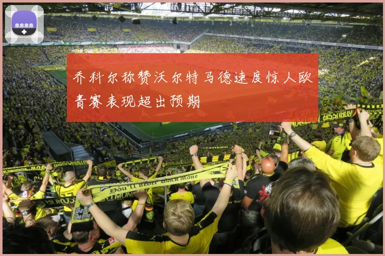 乔科尔称赞沃尔特马德速度惊人欧青赛表现超出预期